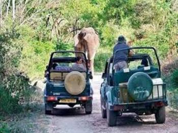 Guided vehicle tour through wilderness