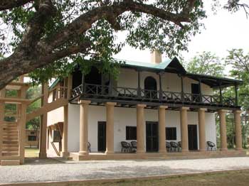 Eco-friendly forest accommodation